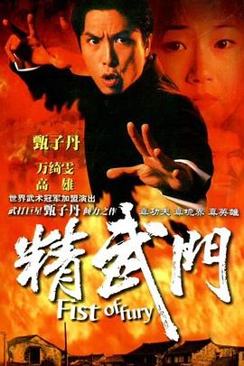 精武门1995国语(全集)